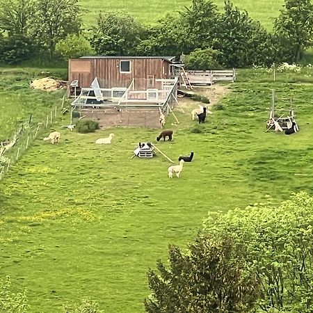 Gemuetliche 3-Zimmer-Wohnung Mit Panoramablick Und Kostenlosem Ueberdachten Parkplatz Вінтерберг Екстер'єр фото
